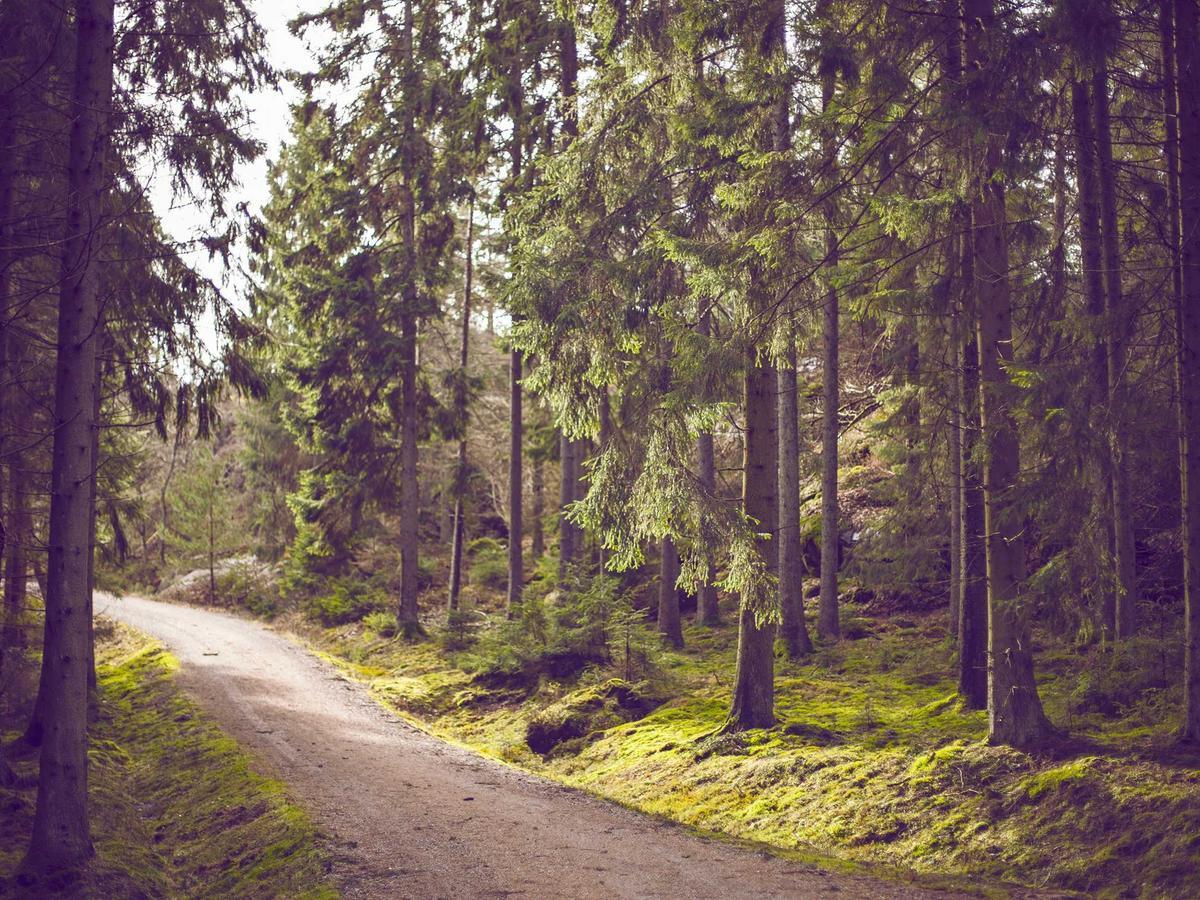 Found on Google.